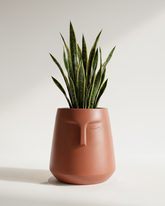 E-Pot A Fiberglass Planter – Terracotta Finish
