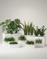 Rectangle Fiberglass Planter – Matte White