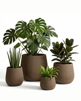 Juniper Fiberglass Planter – Pale Brown