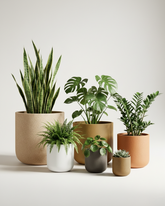 Hollyhock Fiberglass Planter – Textured Modern Finish