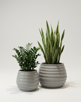 Ring Fiberglass Planter – Signal Grey Finish