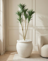 Artificial Dracaena Palm Tree 150cm (4.9ft)