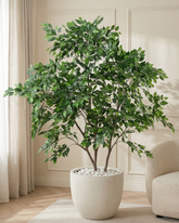 Artificial Lush Ficus Tree 210cm (6.9ft)