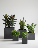 Cube Fiberglass Planter – Modern Square Matte Finish Planter