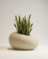 Patato-D Fiberglass Planter – Oyster White | Sculptural Form
