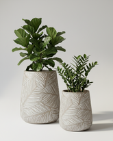 Leaf Fiberglass Planter – Grey Beige Textured Finish