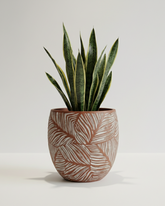 Leaf Fiberglass Planter – Terracotta