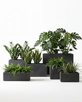 Rectangle Fiberglass Planter – Charcoal Grey