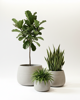 Neon Textured Fiberglass Planter – Soft Grey Ribbed Finish