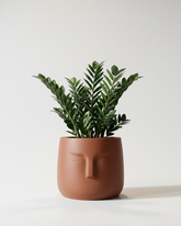 E-Pot B Fiberglass Planter – Terracotta Finish