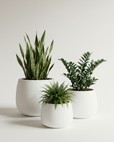Olive Fiberglass Planter – White