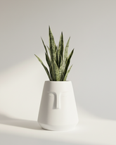 E-Pot Fiberglass Planter – Matte White