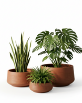 Oak Fiberglass Planter – Terracotta Matt Finish