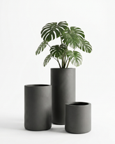 Olive Cylindrical Fiberglass Planter Set – Matte Charcoal Finish