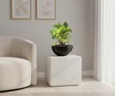 Artificial Schefflera Bonsai Tree - 1ft