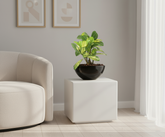 Artificial Variegated Ficus Bonsai Tree - 1ft