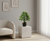 Artificial Green Maple Bonsai Tree - 1.3ft