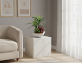 Artificial Arcae Mix Leaf Bonsai Tree - 1.1ft