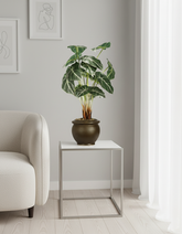 Artificial Alocasia White Bonsai Tree - 2ft