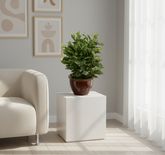 Artificial Green Croton Bonsai Tree - 1ft