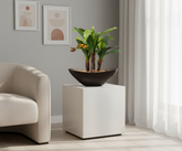 Artificial Banana Bonsai Tree - 1ft