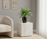 Artificial Dracaena Bonsai Tree - 11in