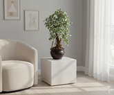 Artificial Variegated Ficus Bonsai Tree - 2ft