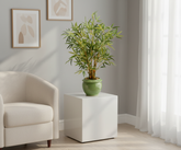 Artificial Bamboo Bonsai Tree - 2ft