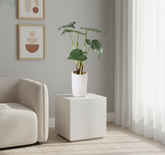 Artificial Alocasia Bonsai Tree - 1.3ft