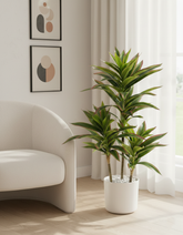 Artificial Detailed Red Green Dracaena Plant - 2 ft (60 cm)