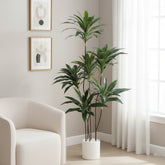 Artificial Exclusive Dracaena Green Plant - 5 ft (150 cm)