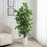 Artificial Contemporary Green Ficus Tree - 3 ft (90 cm)