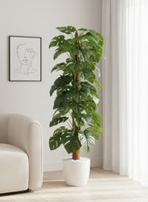 Artificial Superior Monstera Pole Plant - 5 ft (160 cm)