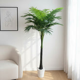 Artificial Ornamental Phoenix Date Palm Tree - 240cm (8ft)