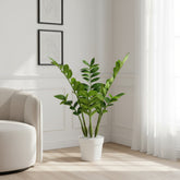 Elegant Artificial ZZ Leaf Plant - 2.2 ft (68 cm)