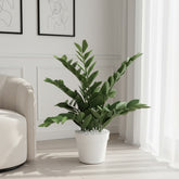 Artificial Lifelike ZZ Leaf Plant - 2 ft (60 cm)