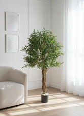 Artificial Greenery Olive Tree Decor - 150cm (5ft)