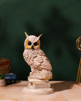 Wise White Owl on Book Stack