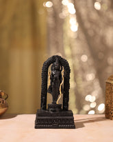 Ram Lalla Murti Black 8 inch