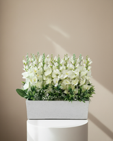 Wide White Dried Floral Trough Planter With Pot