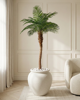 Artificial Ornamental Phoenix Date Palm Tree - 240cm (8ft)