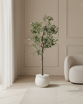 Artificial Mediterranean Olive Tree 150cm (5ft)