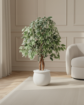 Artificial Variegated Ficus Tree 120cm (4ft)