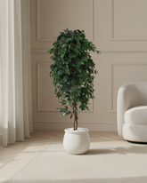 Artificial Weeping Fig Tree Ficus 210cm (7ft)