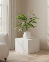 Artificial Striped Dracaena Plant 60cm (2ft)