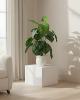 Artificial Philodendron Gloriosum Plant 60cm (2ft)