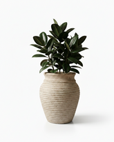 Basil Traditional Fiberglass Planter – Terra