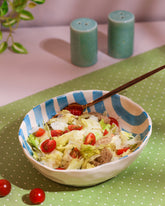 Alamkari India Ceramic Hand-Painted Aqua Striped Ceramic Bowl