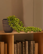 Alamkari India Fabric Artificial Hanging Succulent Vine (46 cm)