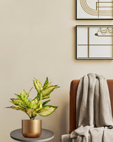 Alamkari India Fabric Artificial Pink Dieffenbachia Potted Plant (60 cm)